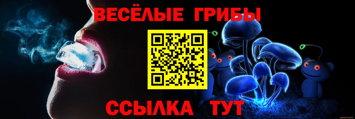 Галлюциногенные грибы Psilocybe  купить   Псилоцибиновые грибы MAGIC MUSHROOMS  Балахна  Вход с VPN 
